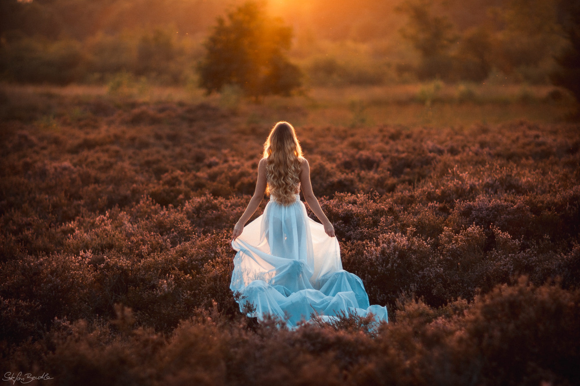 Принцесса светит прелестями в поле