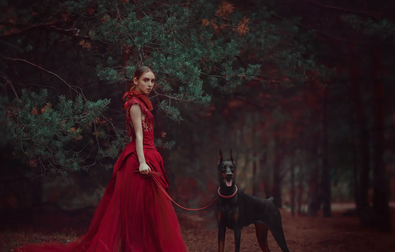 Девушка В Красном Платье В Лесу