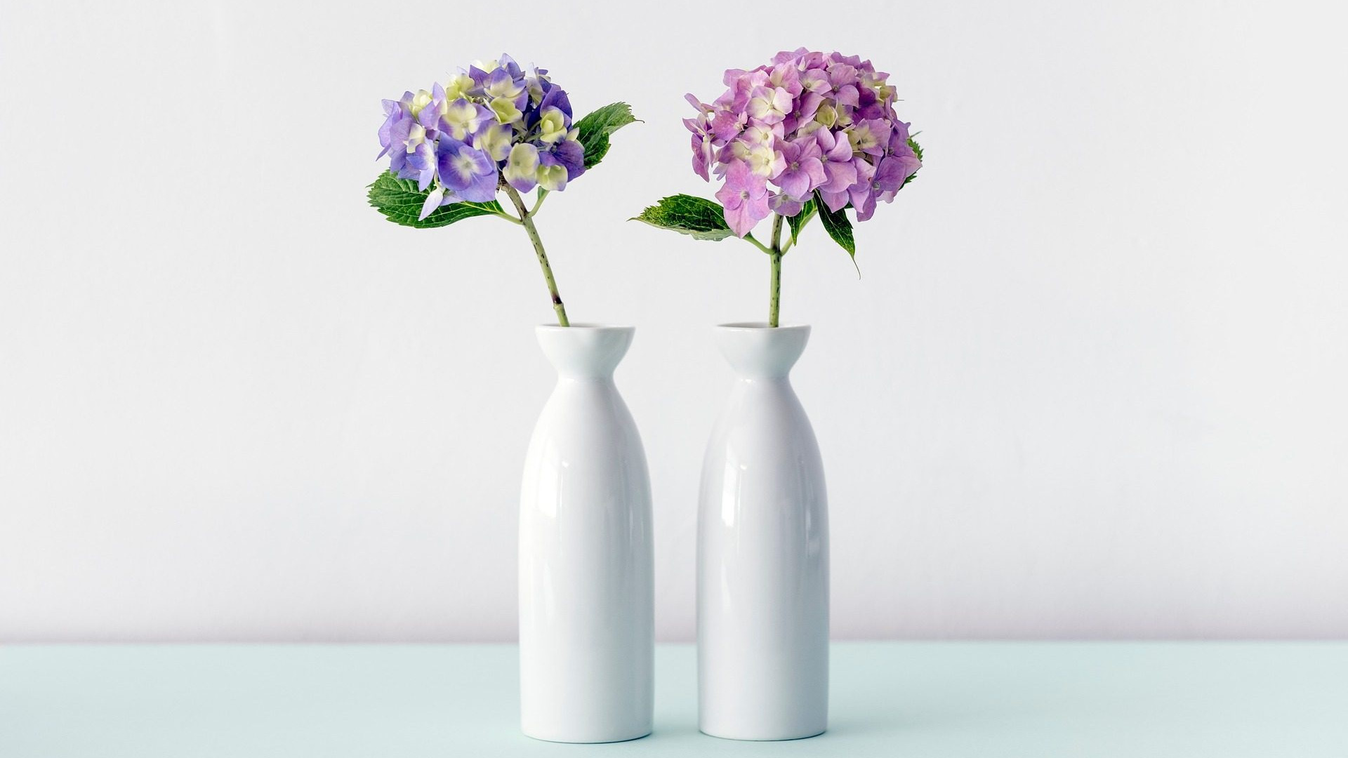 Flower, White, Vase. 