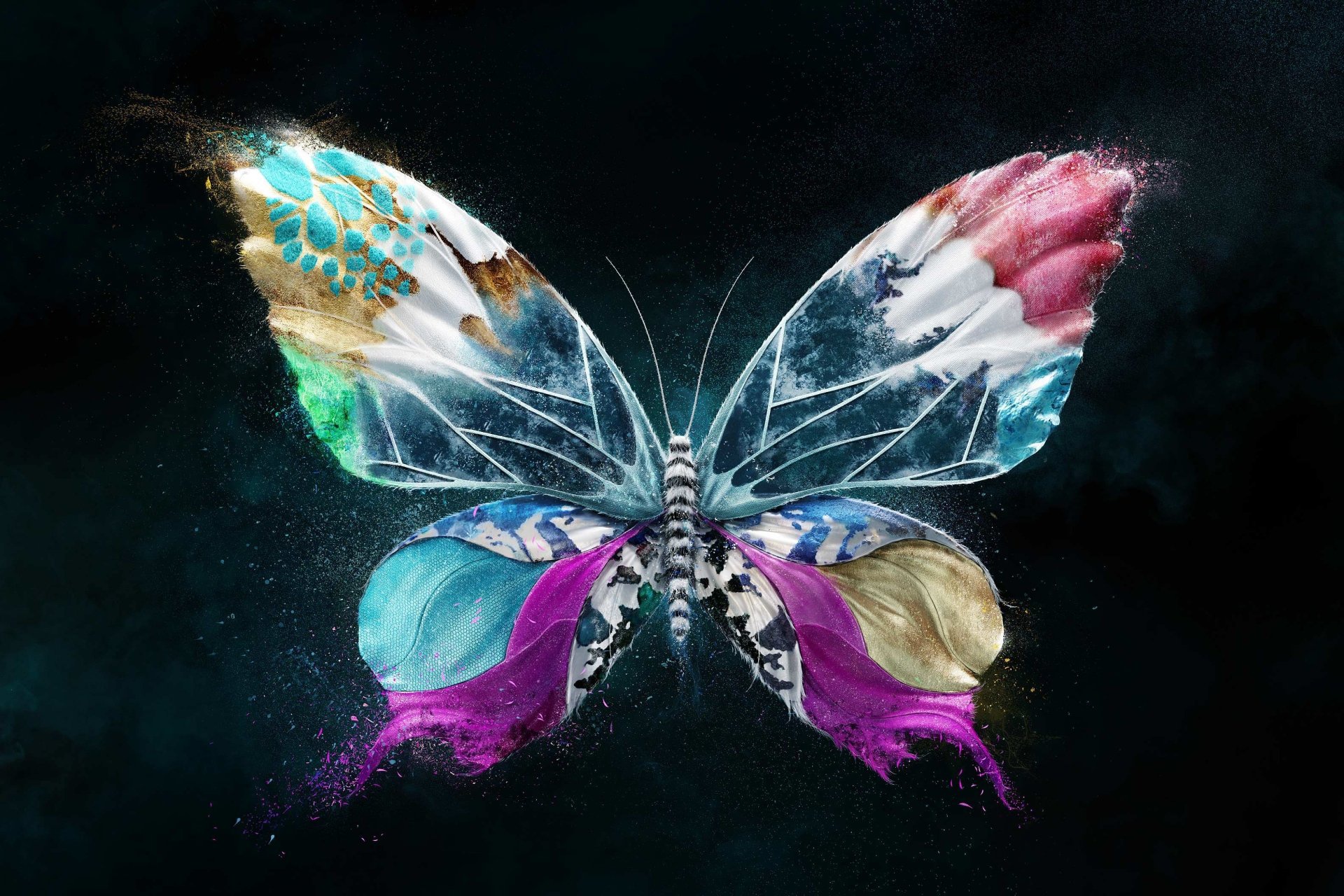яркие краски, полет, бабочка, крылья, насекомое, flight, wings, butterfly, ...