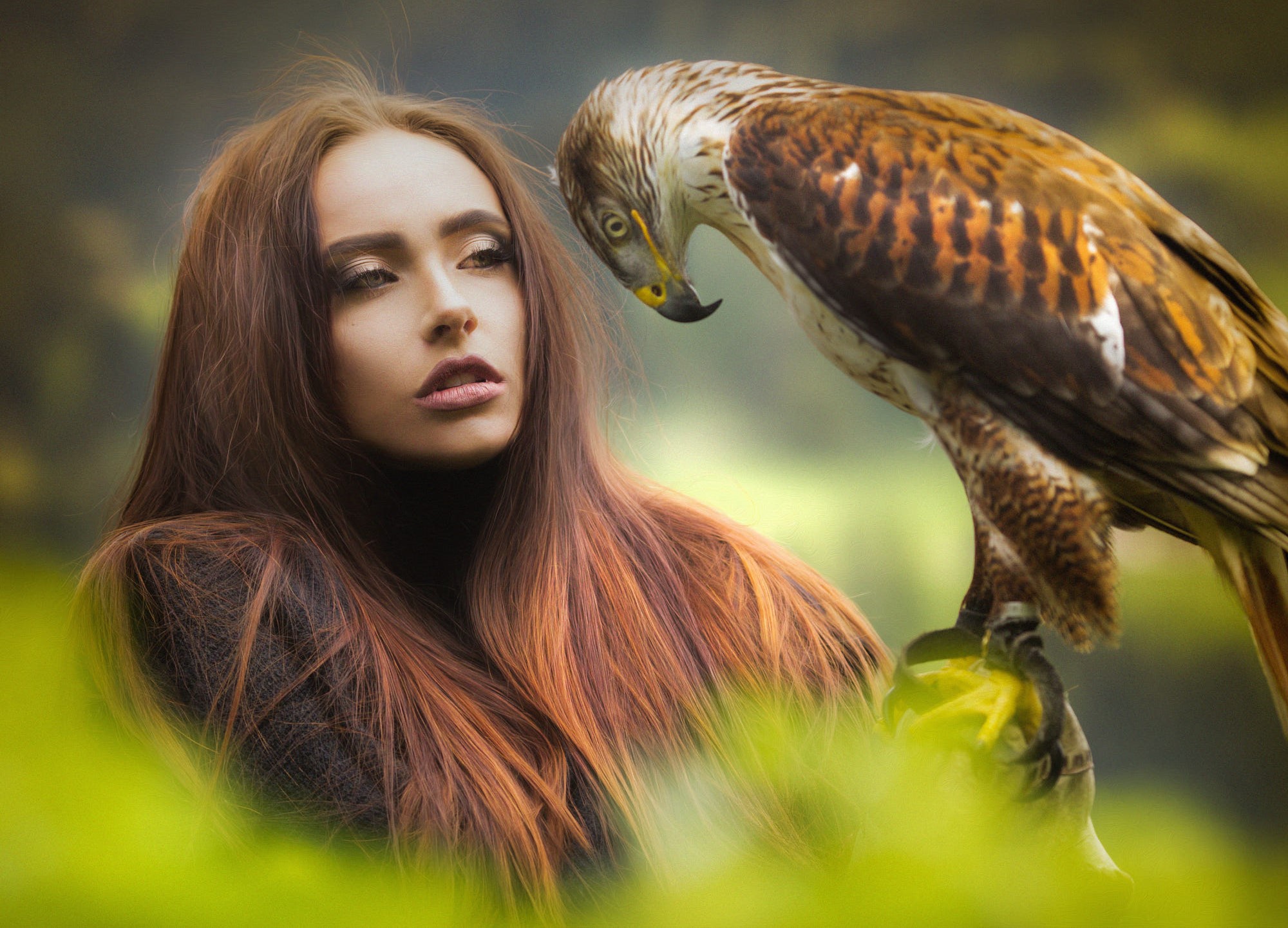 Скачать обои взгляд, девушка, птица, волосы, красивая, ястреб, Joachim Berg...