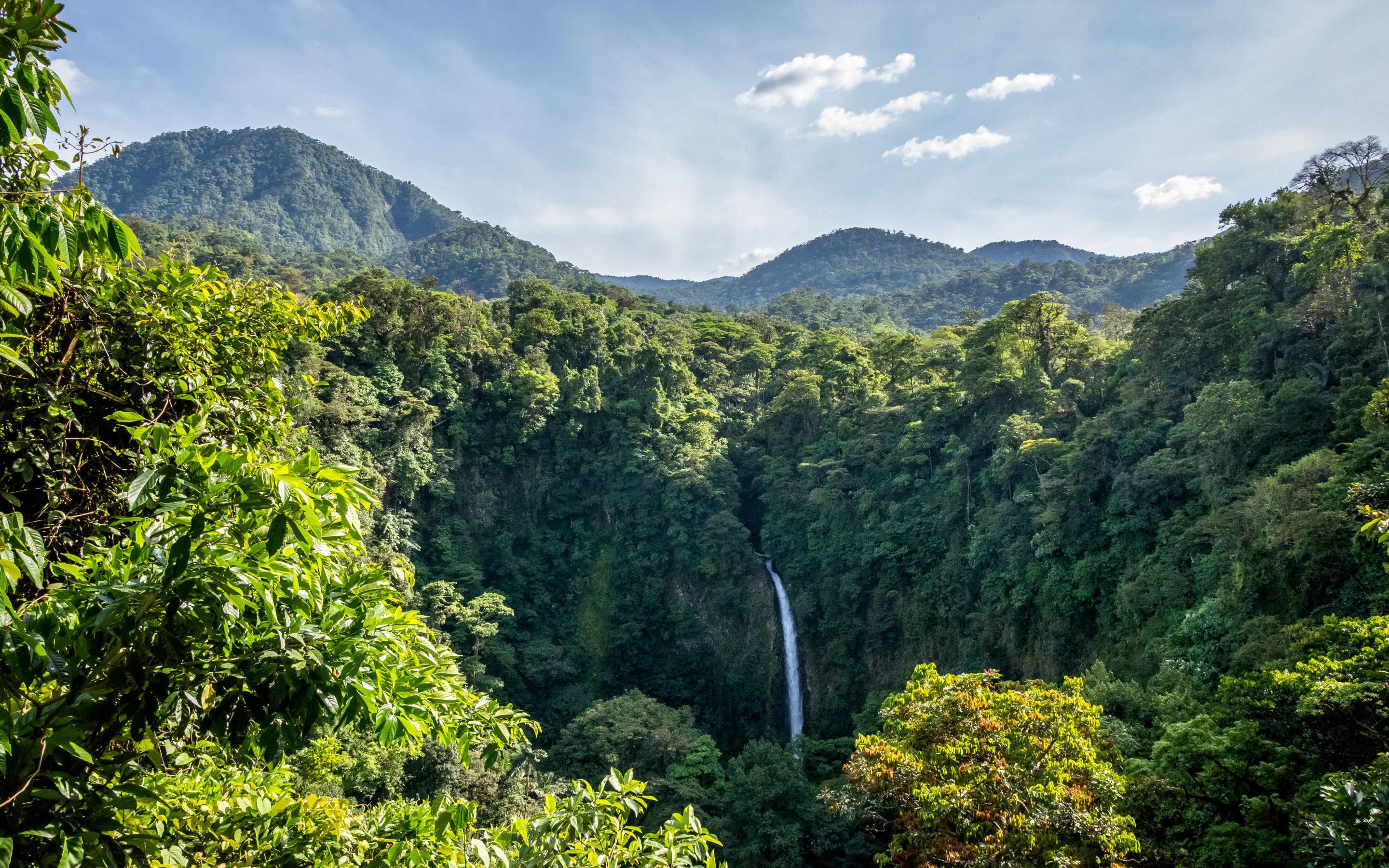 Скачать обои Природа, Водопад, Лес, Джунгли, Пейзаж, Коста-Рика, раздел при...