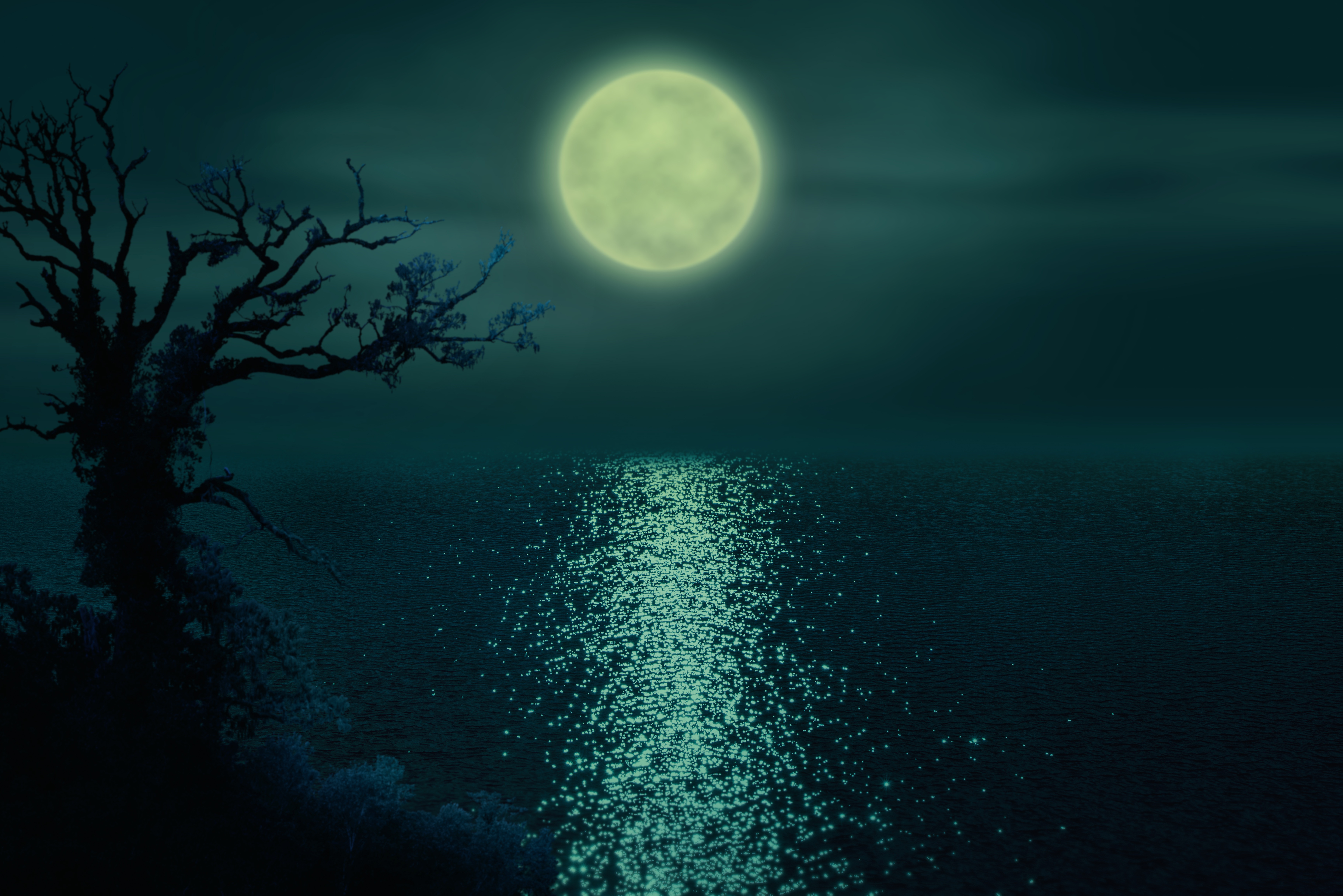 Скачать обои ночь, река, Луна, рябь на воде, одинокое дерево, раздел рендер...