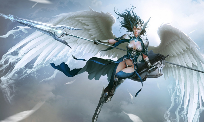 https://img5.goodfon.ru/original/800x480/0/58/girl-fantasy-art-style-armor-wings.jpg