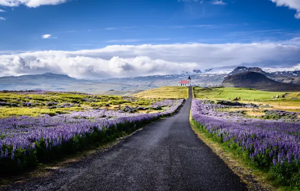 Картинка дорога, облака, пейзаж, цветы, горы, природа, церковь, Исландия, люпины, полуостров, Snæfellsnes, Снайфедльснес