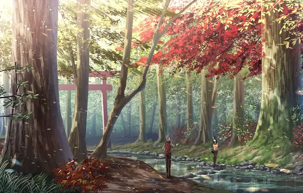 Картинка камни, двое, солнечный день, осенний лес, тории, лесной ручей, парень с девушкой