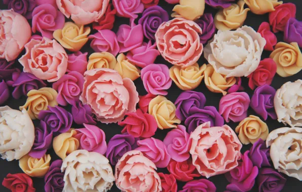 Картинка цветы, фон, розы, colorful, pink, flowers, roses