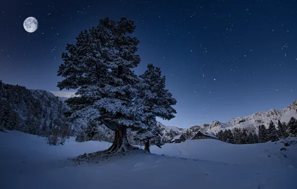 Картинка зима, снег, деревья, пейзаж, горы, ночь, природа, луна, дома, звёзды, Австрия, леса, коммуна, Friedrich Beren, …