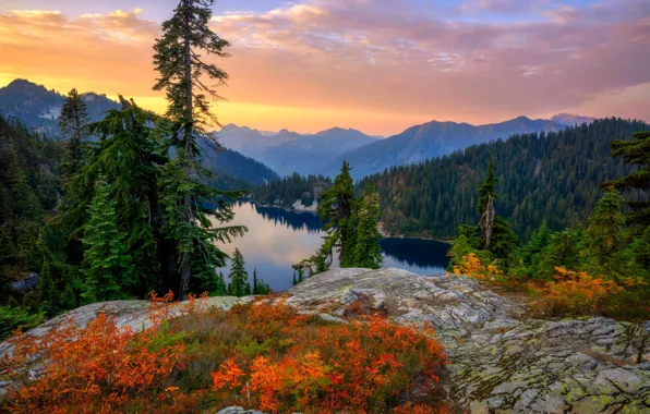 Картинка осень, лес, закат, горы, озеро, ели, Mount Rainier National Park, Национальный парк Маунт-Рейнир, Каскадные горы, …
