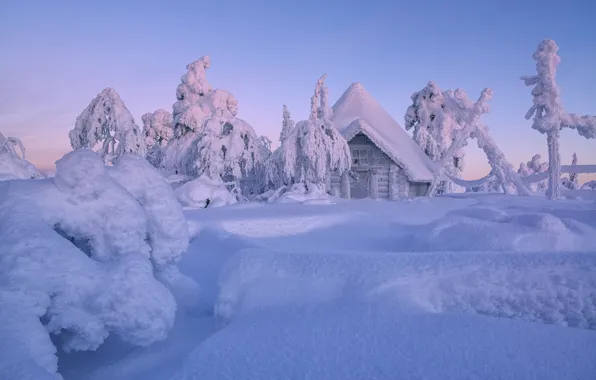 Картинка зима, снег, деревья, избушка, сугробы, домик, хижина, Финляндия, Лапландия