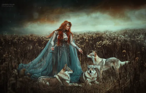 Картинка девушка, меч, платье, волки, рыжая, рыжеволосая, Marketa Novak, Zuzana Kushniruk