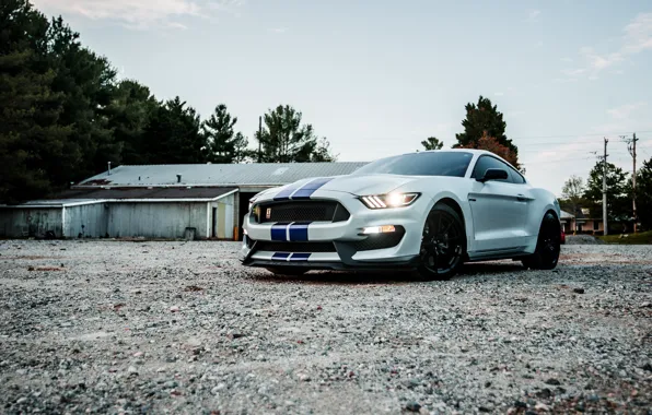 Картинка Mustang, Ford, Sunset, White, Evening, Shalby
