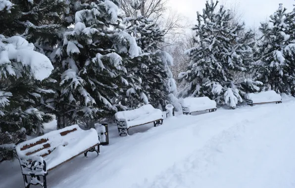 Картинка зима, снег, деревья, пейзаж, скамейка, парк, елки, trees, landscape, park, winter, snow, bench