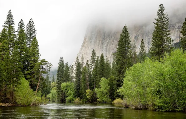 Картинка United States, California, Spring Flood, Yosemite Village