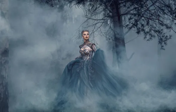 Картинка девушка, туман, дерево, платье, королева, Adam Bird, Rachel Perera