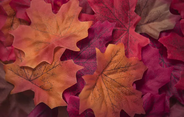 Картинка осень, листья, фон, colorful, red, клен, background, autumn, leaves, осенние, maple