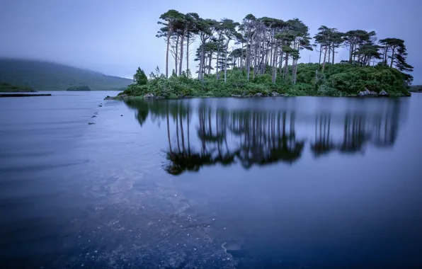 Картинка деревья, озеро, отражение, остров, Ирландия, Ireland, Connemara, Коннемара, Derryclare Lough, Озеро Дерриклер Лох