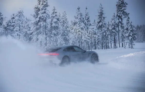 Картинка дорога, снег, деревья, серый, Porsche, 2020, Taycan, Taycan 4S