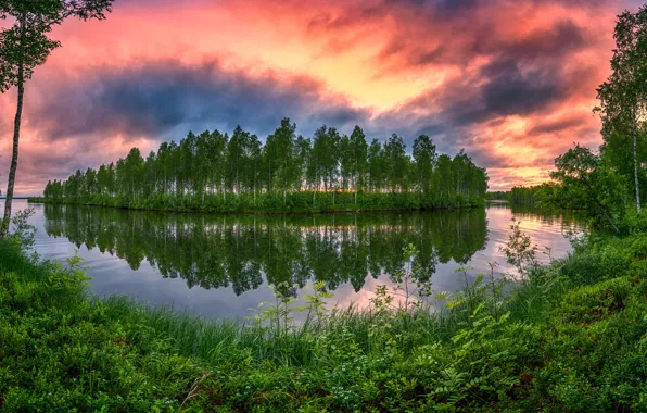 Картинка лето, трава, деревья, закат, озеро, отражение, остров