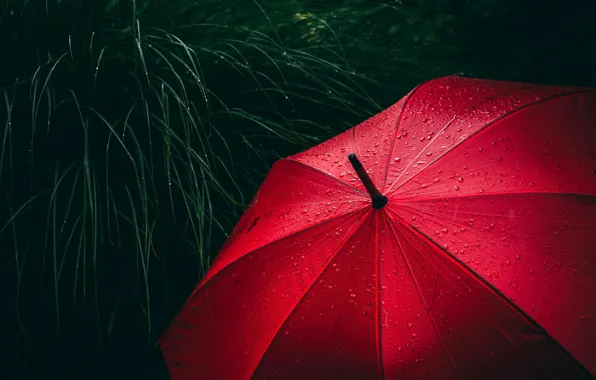 Картинка red, grass, rain, close-up, umbrella, water, macro, blur, drops, rain drops, raining, 5k hd background