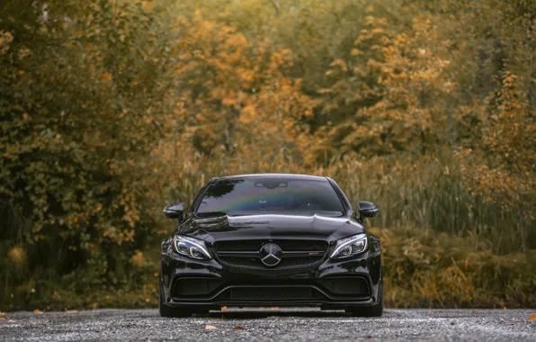 Картинка Mercedes, Front, AMG, Black, Autumn, C63, Face, W205, Sight