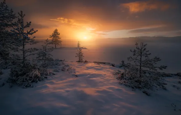 Картинка зима, снег, деревья, туман, восход, рассвет, утро, мороз, Норвегия, Norway, Рингерике, Ringerike, замёрзшее озеро