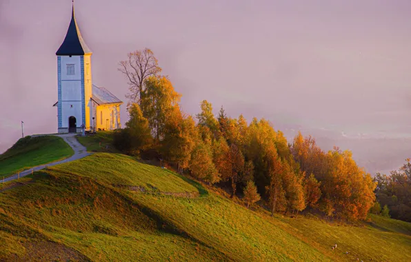 Картинка осень, деревья, пейзаж, природа, туман, склон, холм, церковь, Словения, Ямник