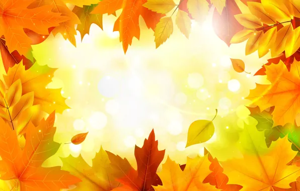 Картинка осень, листья, фон, colorful, клен, background, autumn, leaves, maple