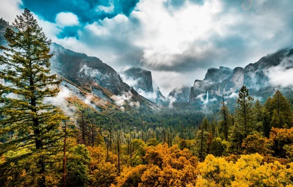 Картинка осень, лес, деревья, горы, долина, Калифорния, California, Yosemite Valley, Национальный парк Йосемити, Yosemite National Park, …