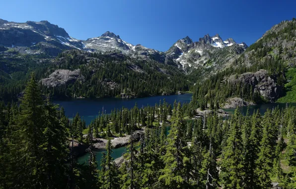 Картинка деревья, горы, озеро, ели, Каскадные горы, Mount Baker-Snoqualmie National Forest, Washington State, Cascade Range, Alpine …