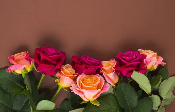 Картинка цветы, розы, желтые, розовые, бутоны, yellow, pink, flowers, romantic, roses, cute