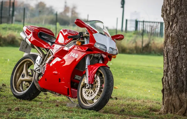 Картинка Red, Ducati, 748