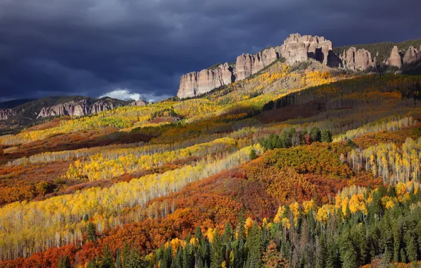 Картинка осень, лес, яркие краски, горы, тучи, скалы, вершины, США, Сан Хуан, живописный вид, национальный лес, …