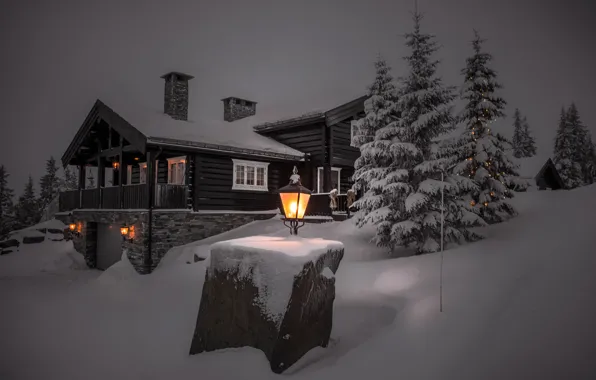 Картинка зима, свет, снег, деревья, пейзаж, ночь, природа, дом, вечер, ели, фонари, коттедж, Jørn Allan Pedersen, …