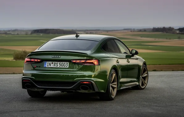 Картинка Audi, зелёный, задом, RS 5, 2020, RS5 Sportback