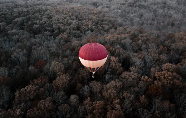 Картинка осень, лес, полет, воздушный шар, высота, Вирджиния, США, Америка