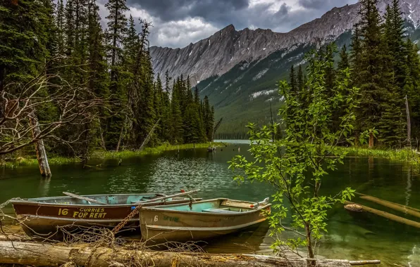 Картинка пейзаж, горы, тучи, природа, озеро, лодки, Канада, Jasper, леса, брёвна, национальный парк, National Park, Джаспер