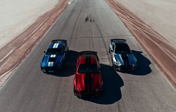 Картинка синий, Mustang, Ford, Shelby, GT500, сверху, тройка, кровавый, 2019, серо-серебристый