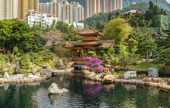 Картинка пруд, парк, камни, здания, дома, Гонконг, Китай, пагода, высотки, павильон