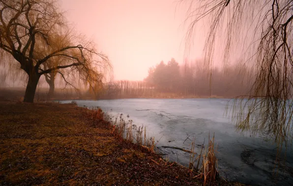 Картинка зима, природа, озеро, утро