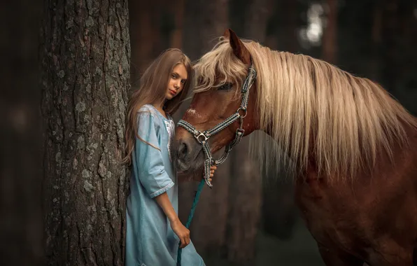 Картинка взгляд, дерево, конь, лошадь, платье, грива, девочка