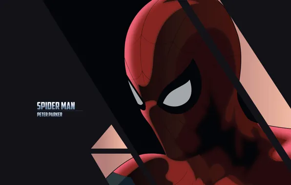 Картинка красный, фон, надпись, арт, костюм, супергерой, комикс, Человек-паук, MARVEL, Spider-Man, Peter Parker