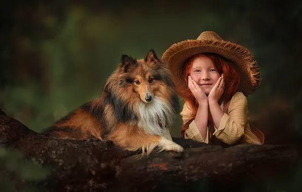 Картинка собака, шляпа, девочка, рыжая, бревно, рыжеволосая, шелти, шетландская овчарка, Ксения Лысенкова