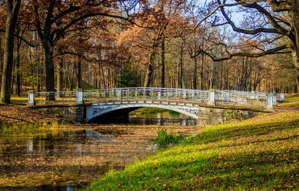 Картинка осень, листья, деревья, мост, парк, река, colorful, river, nature, bridge, park, autumn, leaves, tree
