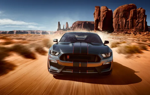 Картинка Mustang, Ford, Shelby, Авто, Пустыня, Машина, GT350, Desert
