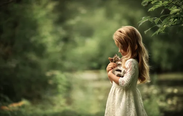 Картинка природа, животное, платье, девочка, детёныш, котёнок, ребёнок, Юлия Кубар