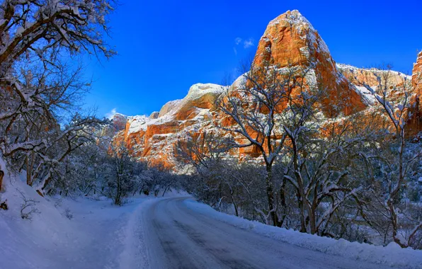 Картинка зима, дорога, снег, деревья, горы, Юта, Zion National Park, Utah, Национальный парк Зайон