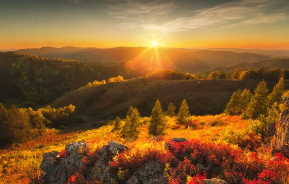 Картинка осень, солнце, лучи, деревья, пейзаж, горы, природа, камни, холмы, леса, Алтай, Оборотов Алексей