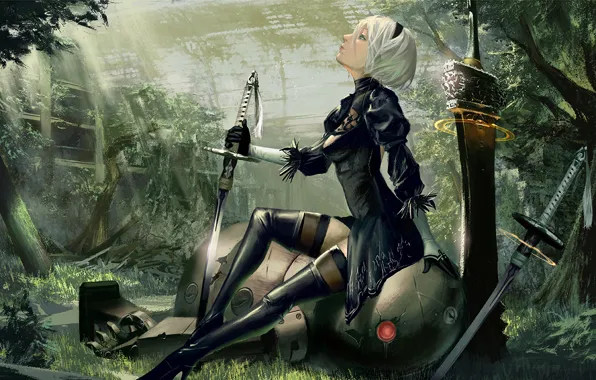 Картинка девушка, робот, меч, киборг, Nier Automata, YoRHa No.2 Type B