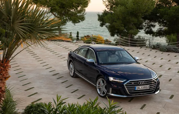 Картинка синий, Audi, растительность, стоянка, седан, Audi A8, Audi S8, 2020, 2019, V8 Biturbo